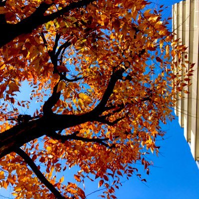 sawagani1311's profile picture. IT企業で働く理系じゃないエンジニア。Webマーケティングをすることになって勉強中。 数学どころか算数から苦手→今ならやれる気がする→ちょっと気のせいだったかも、むずかしいな！怪しげな副業には興味がありません。