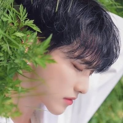 Ksy_SoonHan's profile picture. Reading Account