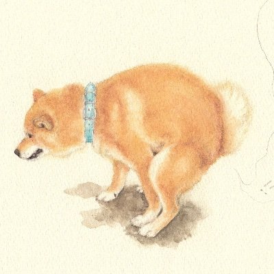 そばさんのプロフィール画像