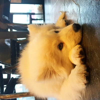 OJoPuOqIuuSTMBb's profile picture. 