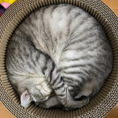 あおいさんのプロフィール画像