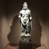 prisonersdilema (@prisonersdilem1) 's Twitter Profile