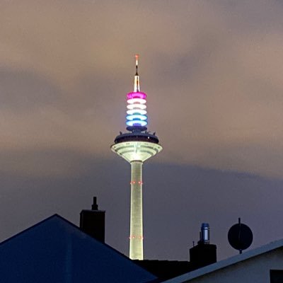 bib_raun's profile picture. 