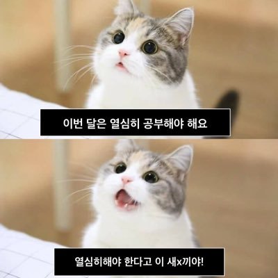 마로다さんのプロフィール画像