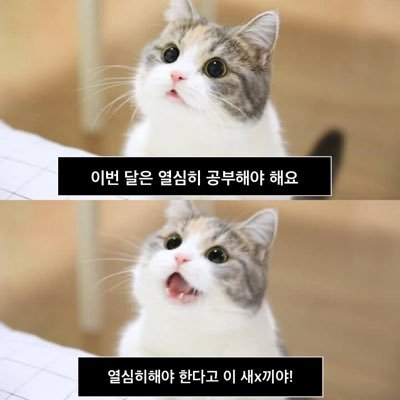 취미변호사✍ / 부업 포토그래퍼
#공부계 #일상계 #사진계