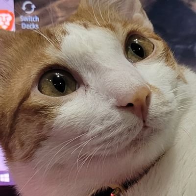 poopchi_'s profile picture. 