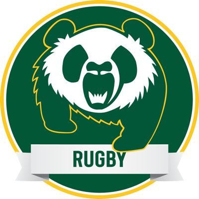 PandasRugby's profile picture. 
