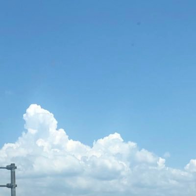 puniさんのプロフィール画像