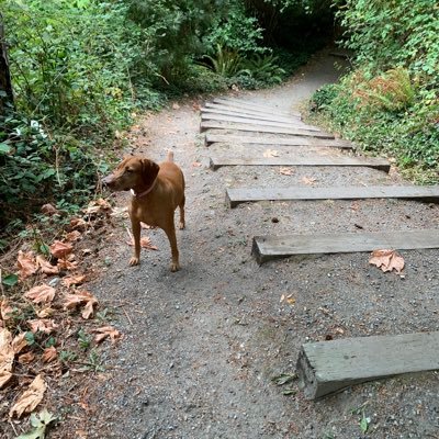 natureforallorg's profile picture. 