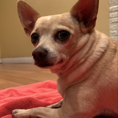 svmnth71's profile picture. “how many planners do you have now?”