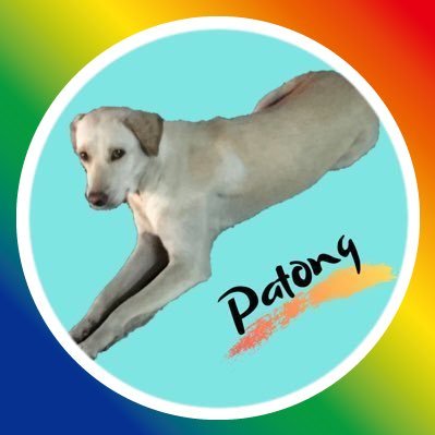 タイで野良犬のようにのんびりと暮らしています-ひとり旅 / 野良犬マニア / 洋楽/街歩き / 筋トレ / 海 / 温泉/サウナ/ ジョムティエン狂(訪問回数100回超)/タイ語-
