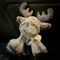 TravelMoose(@MyMooseTravels) 's Twitter Profile Photo