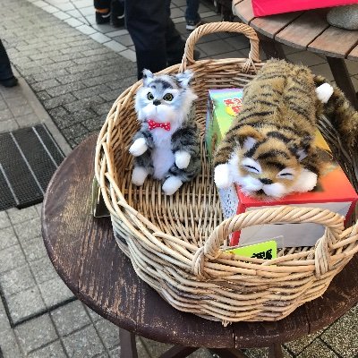 vGHBgTiK6Dv6J2m's profile picture. 日商簿記1級と全経簿記上級合格を目指してます🍎
一級専業🍊独学🍉
日商48点→63点→61点
全経261点→248点