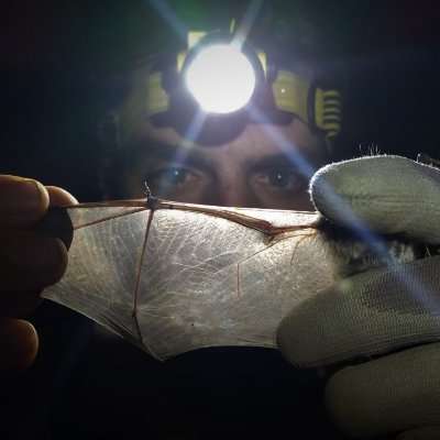 Phd student on 🦇 #Acoustics, #Conservation and #CitizenScience | 
Natural Sciences Museum of Granollers BiBio ResearchGroup🌱|
Also #naturalist 🦉