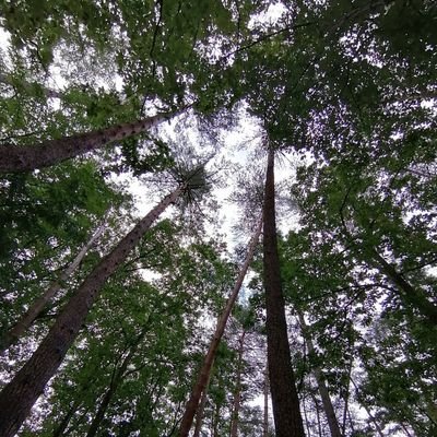 hihipopo2323's profile picture. 