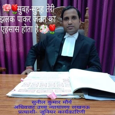 suneelm08740056's profile picture. Suneel Maurya advocate high court Luck.