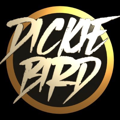 dickiebirdmedia Profile Picture