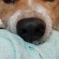 Support_NFT (@support_nft) 's Twitter Profile