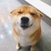 kkkkkkkkkkkkkkkkkuquq (@loverr717) Twitter profile photo kkkkkkkkkkkkkkkkkuquq (@loverr717) Twitter profile photo