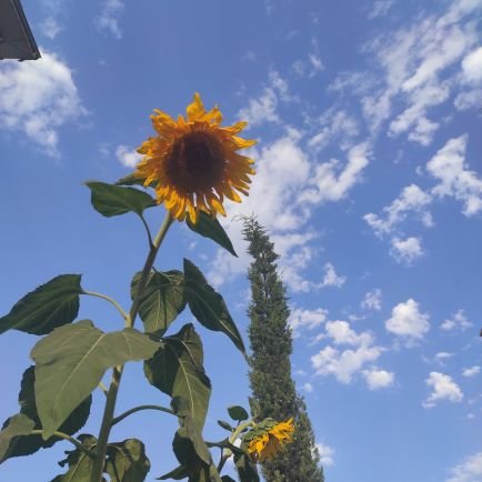 ‏چون پرده برافتد 
نه تو مانی و نه من