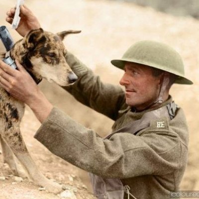 Histoire et Devoir de Mémoire   Première Guerre Mondiale et Deuxième Guerre Mondiale. 
 N'OUBLIONS JAMAIS !