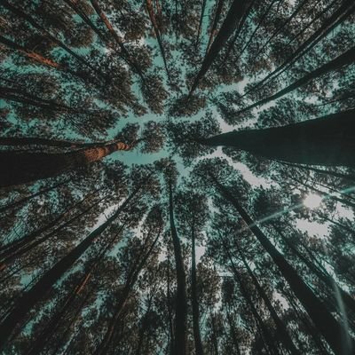 human being
| hidup secukupnya
| anak rumahan berjiwa traveller, tapi mageran