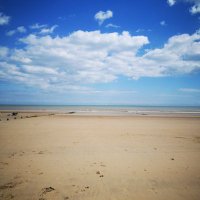 Nicki Oyler (@nicki_oyler) 's Twitter Profile Photo