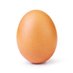 World Record Egg (@worldrecordegg) Twitter profile photo