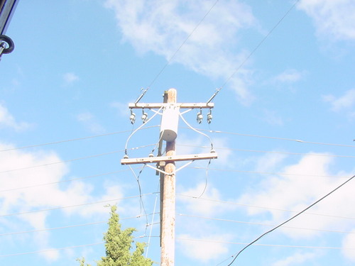 Angela Smidt Profile