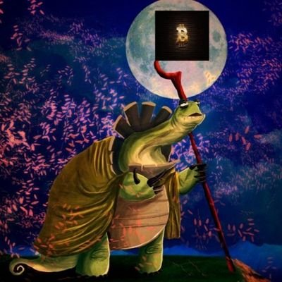 turtletrader08's profile picture. #bitcoin 
Trader | Analyst