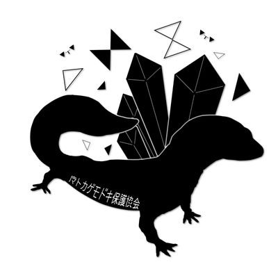 魔ﾄｶｹﾞﾓﾄﾞｷ保護協会さんのプロフィール画像