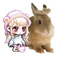 あむむむ (@amuka__m) 's Twitter Profile