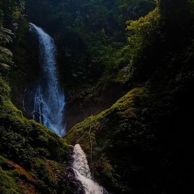 NgenangaliCharo's profile picture. Dum Spiro Spero.