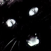 aaron spectre (@drumc0rps) 's Twitter Profile