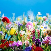 🐰ウサミミ💛🐥 (@usagisan4451) 's Twitter Profile Photo