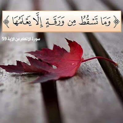 joud2020_'s profile picture. Help us