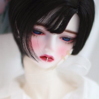 bjd_rado's profile picture. • 🇰🇷 | 성인 | FUB Free | ⌯･֊･⌯ಣㅣ ✘ᴗ✘ | Lee So | Ra Sol | Theo and Leo | 느릿느릿 인놀해요🐢 | 블스: @bjd-rado.bsky.social