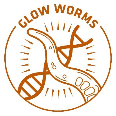 Freshman Research Initiative CURE; Undergraduates learning CRISPR genome engineering by making knock-ins for the worm community.