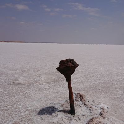 knew69931782's profile picture. サブ垢
神奈川