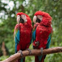 Chandran_ASBR (@chandran_asbr) 's Twitter Profile