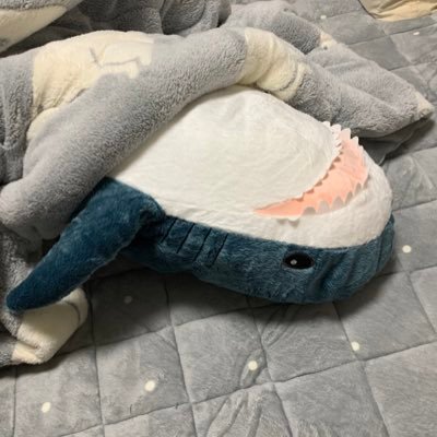 小学校5年目 振り返り アウトプット お気持ち 日記など綴る垢 いたりいなかったり 生き物 折り紙 理科 国語がお好き 学んだこと日常お気持ちまで 全部ひとりごと つらつらと