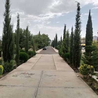 sharifpirjan's profile picture. student