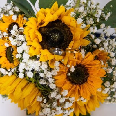 Simone Collins Profile