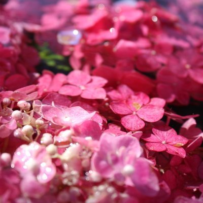 Rin2569644612's profile picture. 手掌多汗症で悩んでいます。
ぜひ、みなさんとお話ししたいです。
アカウント新しくしました。