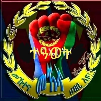 yemaneokubazghi's profile picture. coker