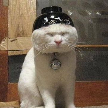 JZafiarison's profile picture. Soldat Malgache, contre la désinformation ( je suis dev aussi) :)