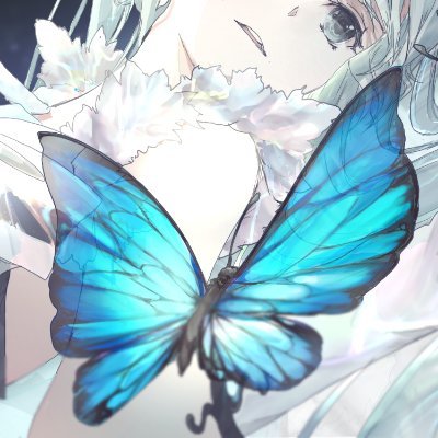 🦋KPさんのプロフィール画像