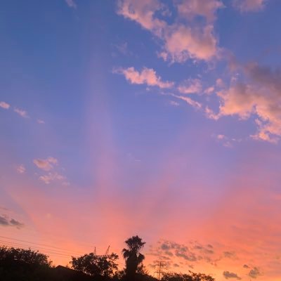 RobertoBandin13's profile picture. 