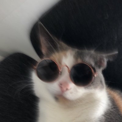 pau_bly's profile picture. 