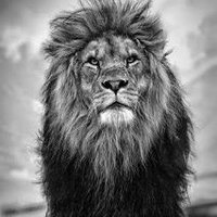 BY. ASLAN 🔥 (@hard_seks) 's Twitter Profile Photo BY. ASLAN 🔥 (@hard_seks) 's Twitter Profile Photo